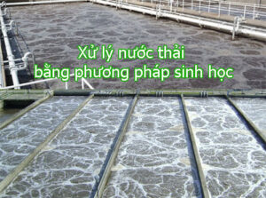 Xử lý nước thải bằng phương pháp sinh học