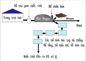 phương pháp xử lý nước thải chăn nuôi lợn