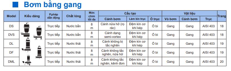 Máy bơm chìm bằng gang ebara